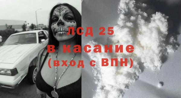 шишки Баксан