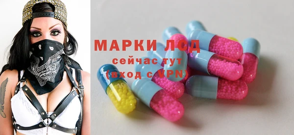шишки Баксан