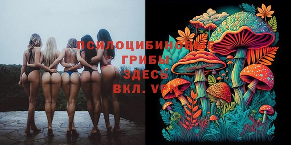 mdpv Балахна