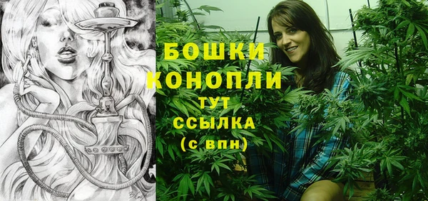 шишки Баксан