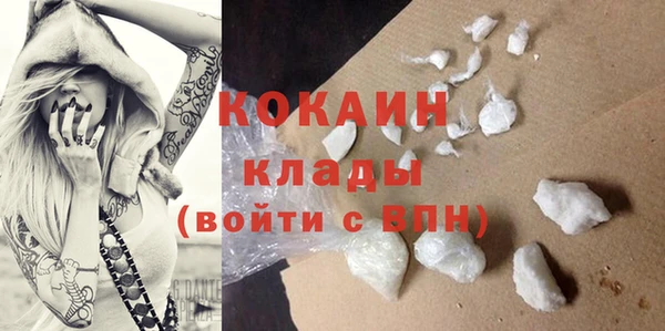 шишки Баксан