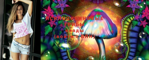 шишки Баксан