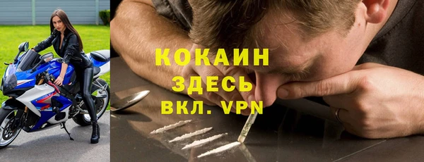 шишки Баксан