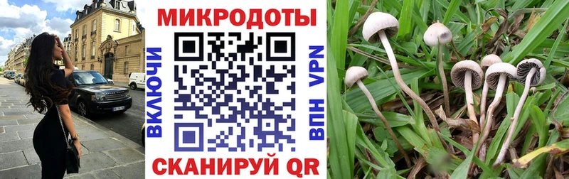 Галлюциногенные грибы прущие грибы  сколько стоит  Вяземский 