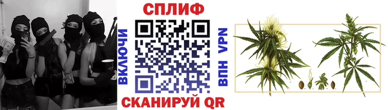 Конопля индика Вяземский